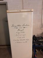 Budget vriezer, Witgoed en Apparatuur, Ophalen, Zonder vriesvak, 45 tot 60 cm, Minder dan 75 liter