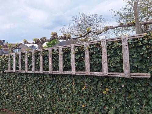 wetim bouwladder decoratie, Doe-het-zelf en Verbouw, Ladders en Trappen, Gebruikt, Minder dan 2 meter, Ophalen