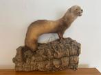 Vintage opgezette marter op kurkschors, Ophalen of Verzenden, Gebruikt, Overige soorten, Opgezet dier