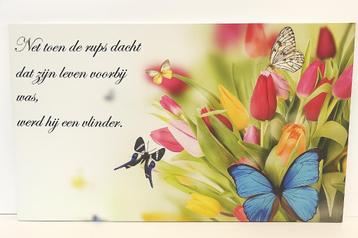 Vlinders en tekst op canvas doek. beschikbaar voor biedingen