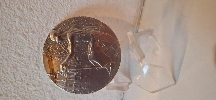 Frankrijk/Penning/Verzilverd/57 gram/ 50 mm Doorsnede., Postzegels en Munten, Penningen en Medailles, Brons, Buitenland, Ophalen of Verzenden