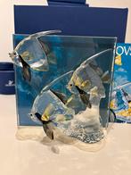 Swarovski jaarstuk Community, Ophalen of Verzenden, Zo goed als nieuw, Figuurtje