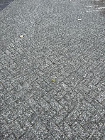 Gebruikt beton klinkers bkk grijs beschikbaar voor biedingen