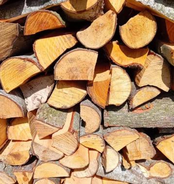 Droog elzen haardhout beschikbaar voor biedingen