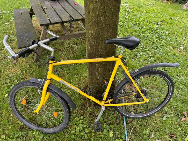 Giant Team World Cup (frame size L) 26 inch wielen, Fietsen en Brommers, Fietsen | Mountainbikes en ATB, Gebruikt, Heren, Giant