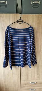 Longsleeve, NIEUW, Kleding | Dames, Tops, Anna Field, Blauw, Maat 46/48 (XL) of groter, Nieuw