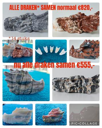 14 draken skulls gewicht tussen de 40gram en de 3,9 kilo beschikbaar voor biedingen