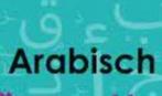 Leer Arabisch praten en verstaan, Boeken, Studieboeken en Cursussen, Verzenden, Alpha, Nieuw, MBO