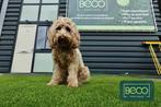 Kunstgras BODEMPRIJZEN # MEENEEM DEALS, Tuin en Terras, Gras en Kunstgras, Ophalen, Nieuw, 20 m² of meer, Kunstgras