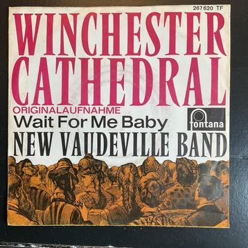 New vaudeville band -  Winchester Cathedral  beschikbaar voor biedingen