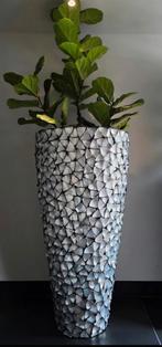 NIEUW UNIEK GROTE SCHELPENVAAS 140CM KUNST FICUS ERIC KUSTER, Huis en Inrichting, Ophalen, Overige kleuren, Aardewerk of Porselein