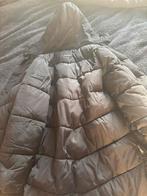 Malelions Dames Jas Gewatteerd Maat M, Ophalen, Zo goed als nieuw, Maat 38/40 (M), Zwart