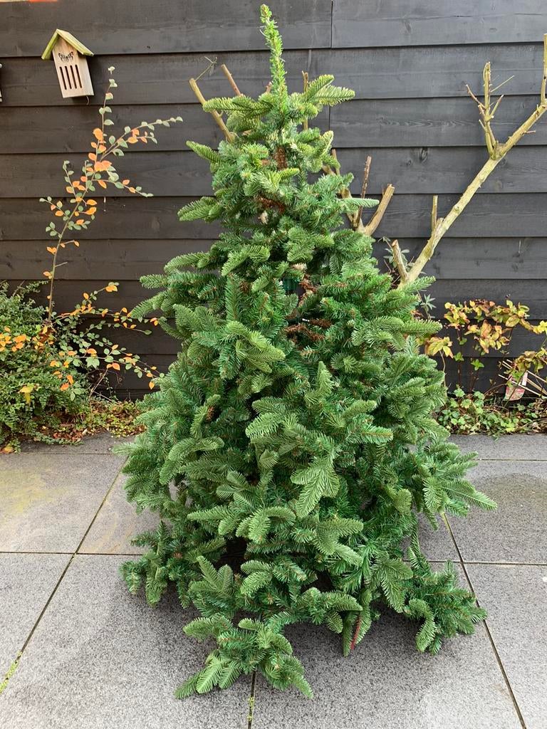 Kerstboom 1,50 hoog, Tuin en Terras, Planten | Bomen, Ophalen of Verzenden, Bloeit niet, Volle zon, Overige soorten