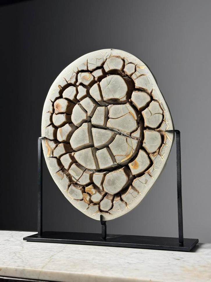 Septarian Nodule custom op standaard, Verzamelen, Mineralen en Fossielen, Fossiel, Ophalen