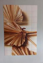 Grote iXXi 120x180 palm bladeren, Ophalen of Verzenden, Zo goed als nieuw