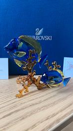 Swarovski doktersvissen, Verzamelen, Swarovski, Ophalen of Verzenden, Zo goed als nieuw