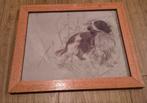 Welsh Springer Spaniel tekening, Minder dan 50 cm, Gebruikt, Tekening, Ophalen of Verzenden