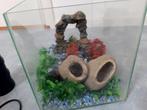 Aquarium afmeting 35 bij 22 cm hoogte 25 CM inclusief alle b, Ophalen of Verzenden, Zo goed als nieuw, Leeg aquarium