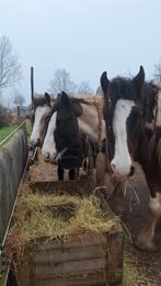 Verzorging, Ophalen, Nieuw, Overige soorten