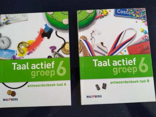 Taal actief groep 6 aantwoordenboek taal 6A en 6B (versie 4), Boeken, Schoolboeken, Zo goed als nieuw, Nederlands, Overige niveaus