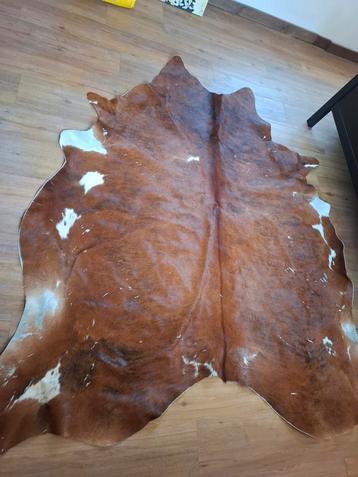 Koeienhuid in goed conditie, groot formaat! ca 220 x 200 cm beschikbaar voor biedingen