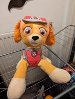 Paw Patrol Skye knuffel, Kinderen en Baby's, Speelgoed | Knuffels en Pluche, Hond, Ophalen of Verzenden, Zo goed als nieuw