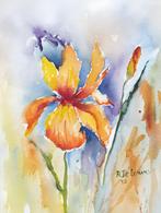 Iris Bloem, aquarel 40x30 cm., Ophalen of Verzenden