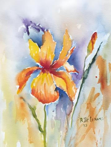 Iris Bloem, aquarel 40x30 cm. beschikbaar voor biedingen