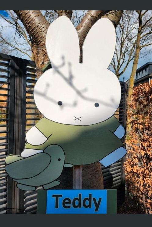 Nijntje of ander leuk geboortebord huren, Kinderen en Baby's, Kraamcadeaus en Geboorteborden, Nieuw, Geboortebord, Ophalen