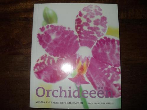 BOEK WILMA & BRIAN DITTERSHAUSEN-ORCHIDEEËN., Boeken, Wonen en Tuinieren, Zo goed als nieuw, Kamerplanten, Ophalen of Verzenden