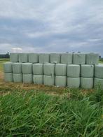 nog 60 midi balen te koop, Dieren en Toebehoren, Meerdere dieren, Schaap, 0 tot 2 jaar