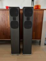 BNS SDS 90 zuil luidsprekers, Gebruikt, 60 tot 120 watt, Front, Rear of Stereo speakers, Ophalen