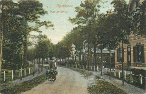 (300-495-039) Apeldoorn Kastanjeweg, Verzamelen, Ansichtkaarten | Nederland, Gelderland, Verzenden