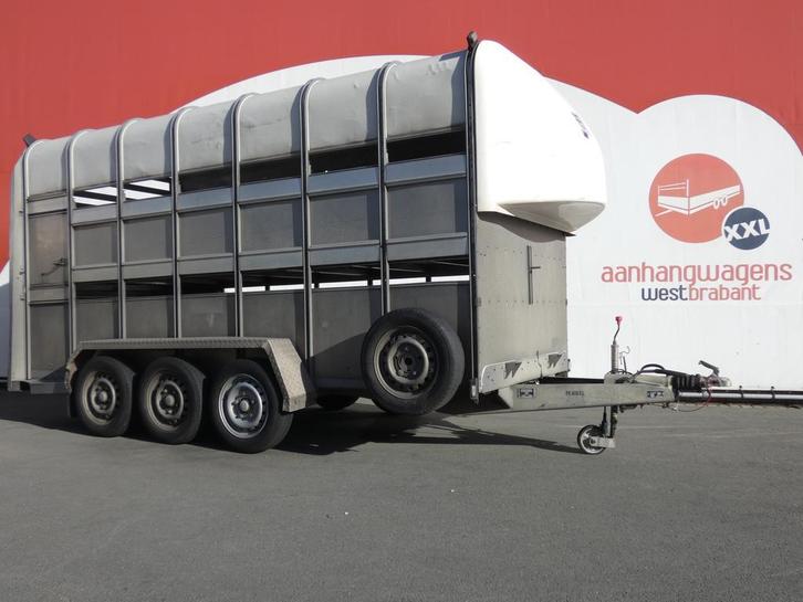 Tweedehands Ifor-Williams  Veetrailer tridemas  427x178x213c, Auto diversen, Aanhangers en Bagagewagens