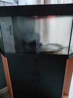 Te koop aqurarie hoek, Dieren en Toebehoren, Vissen | Aquaria en Toebehoren, Ophalen