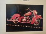 Indian motorfoto met verlichting, Boeken, Ophalen of Verzenden, Nieuw, Merk of Model