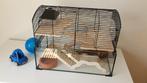 Glazen hamsterkooi met veel accessoires, Kooi, Gebruikt, Minder dan 75 cm, Hamster