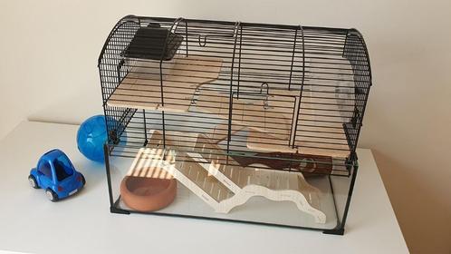 Glazen hamsterkooi met veel accessoires, Dieren en Toebehoren, Knaagdieren en Konijnen | Hokken en Kooien, Gebruikt, Kooi, Minder dan 60 cm