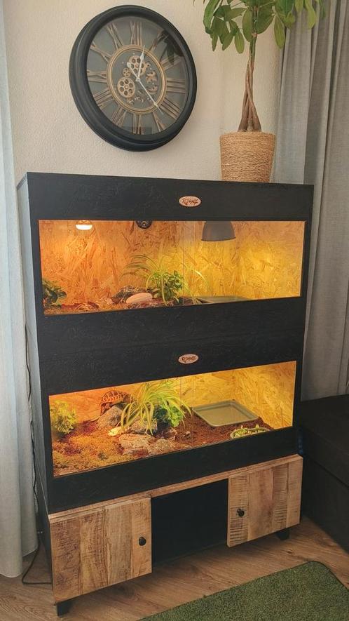 Osb3 terrarium RepHouSZ. Ook maatwerk, Dieren en Toebehoren, Reptielen en Amfibieën | Toebehoren, Nieuw, Terrarium of Paludarium