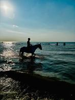 Verzorger/verzorgster gezocht voor 11 jarige ruin