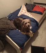GRATIS -- Wit Houten bed 90 x 200, Ophalen, Gebruikt, 90 cm, Eenpersoons