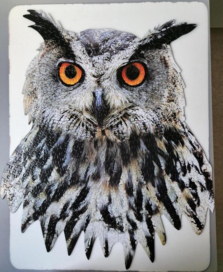 Puzzel Shaped Owl 550 stukjes, Hobby en Vrije tijd, Denksport en Puzzels, Zo goed als nieuw, Legpuzzel, 500 t/m 1500 stukjes, Ophalen of Verzenden