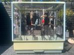 4 grasparkietjes met vogelkooi, Meerdere dieren, Parkiet