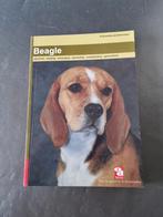 Beagle - Alles over dit hondenras, Ophalen of Verzenden, Zo goed als nieuw, Honden, Onbekend