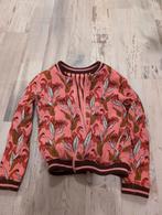 Meisjes kleding maat 110, Kinderen en Baby's, Kinderkleding | Maat 110, Ophalen of Verzenden, Zo goed als nieuw, Meisje, Jurk of Rok