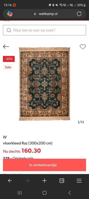 Anytime vloerkleed Raz 300 x 200 cm beschikbaar voor biedingen