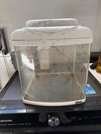 Aquarium, Dieren en Toebehoren, Vissen | Aquaria en Toebehoren, Ophalen of Verzenden, Gebruikt, Leeg aquarium