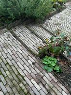 Gebruikte Klinkers - Tuinbestrating, Tuin en Terras, Tegels en Klinkers, Ophalen, Overige materialen, Gebruikt, Klinkers