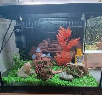 Aquarium accessoires filter  beschikbaar voor biedingen