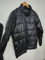 Zwarte herenpuffer mt M Nieuw, Ophalen of Verzenden, Nieuw, Maat 48/50 (M), Zwart
